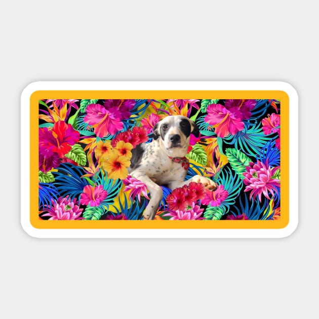 Tropical Rescue Sticker by austyndelugoart